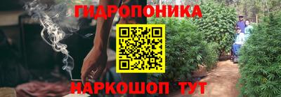 хмурый Заводоуковск