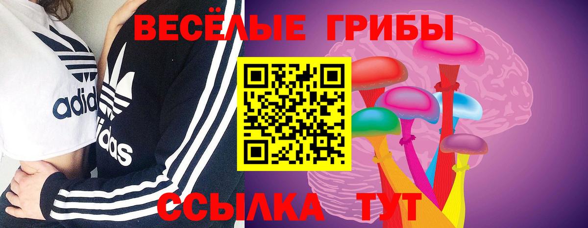 Ликино-Дулёво  Галлюциногенные грибы ЛСД  Вход с VPN 